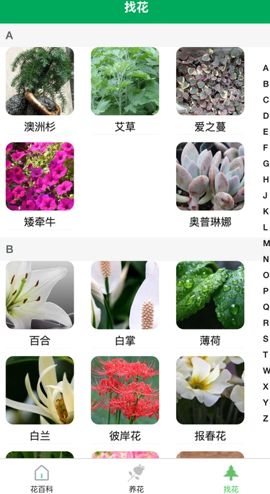 锐创花园(1)