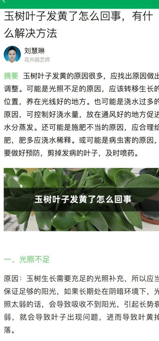 奇奇花园(2)