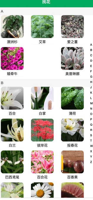 奇奇花园(3)