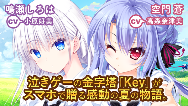 夏日口袋(2)