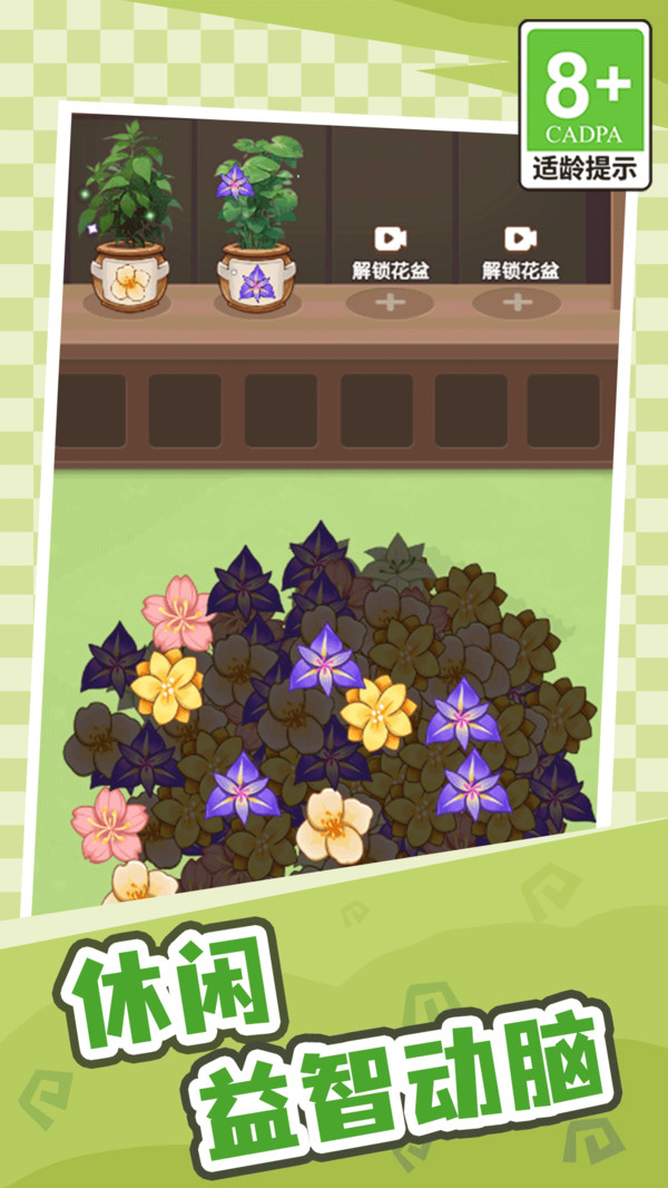 动手我最强(2)