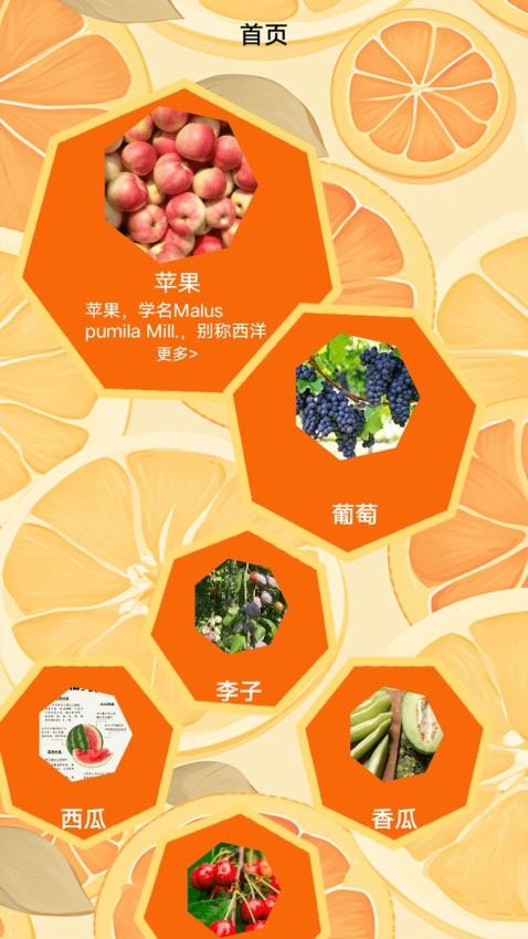柚子快报告(1)