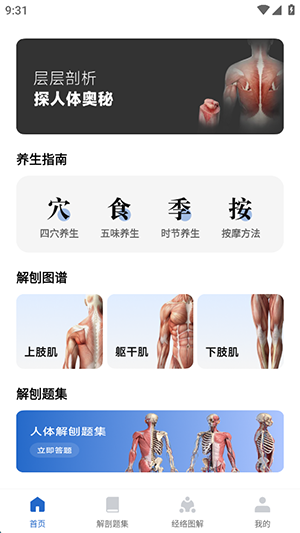 人体解剖图集(2)