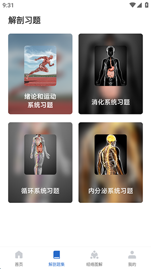 人体解剖图集(3)