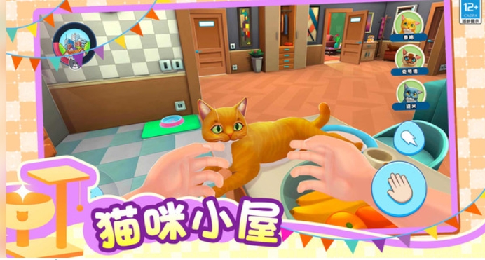 小小猫之家(1)