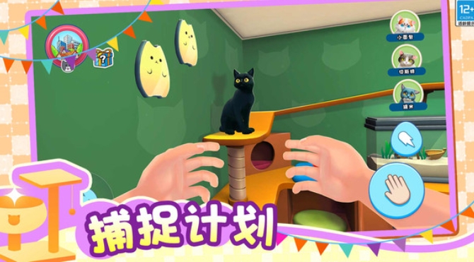 小小猫之家(2)