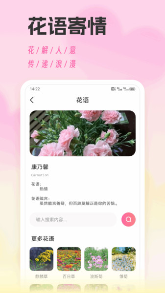 风信子聊天技巧(1)