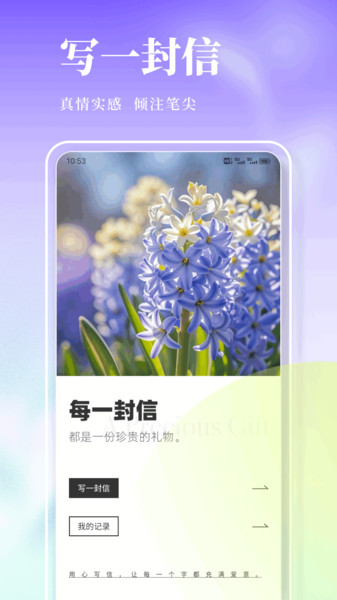 风信子笔记(2)