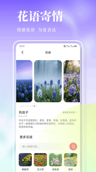 风信子笔记(4)