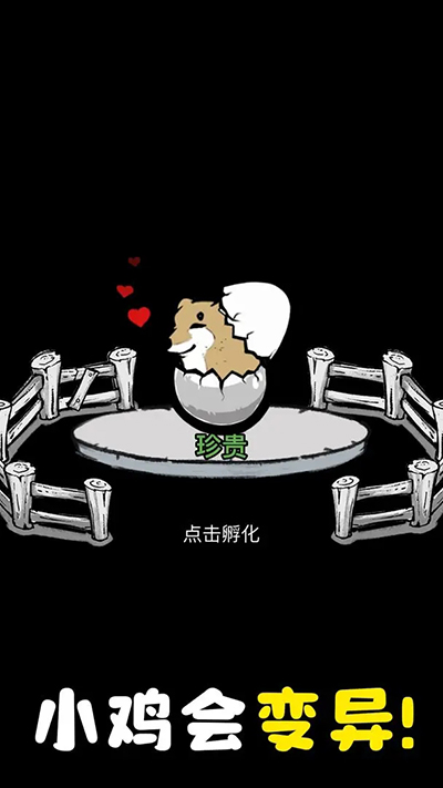 养鸡时长两年半(2)