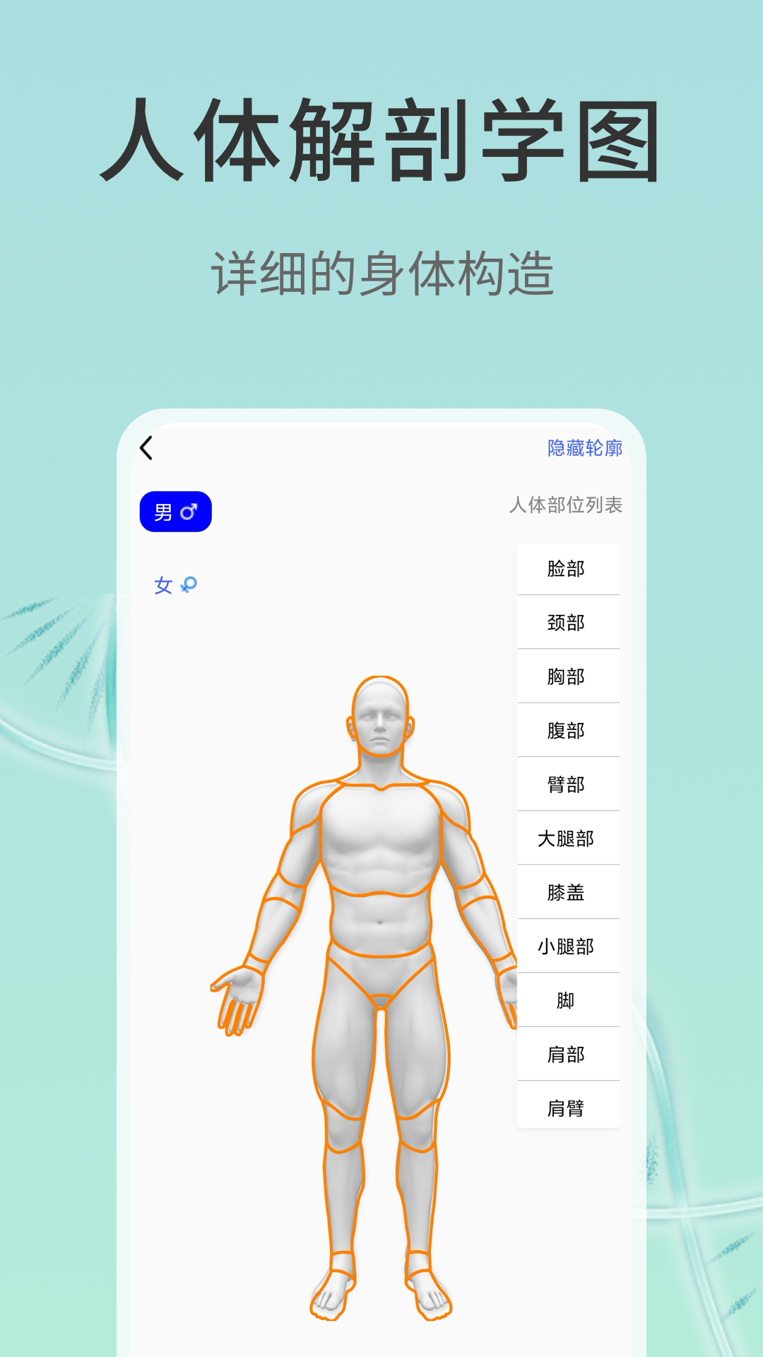 3d解剖(1)