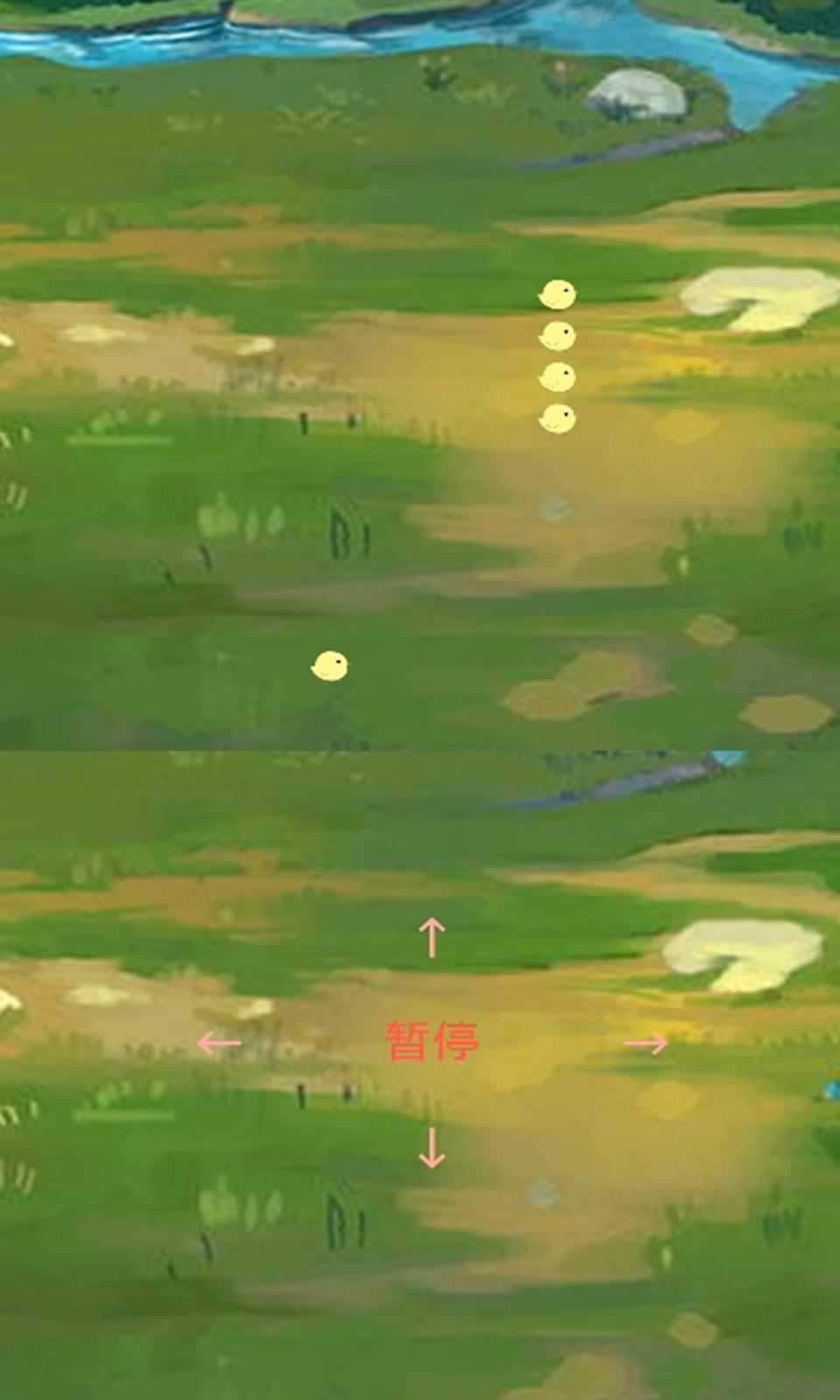 小鸡回家(1)