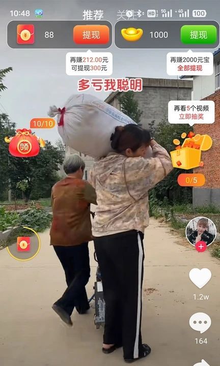 兔子点点(2)