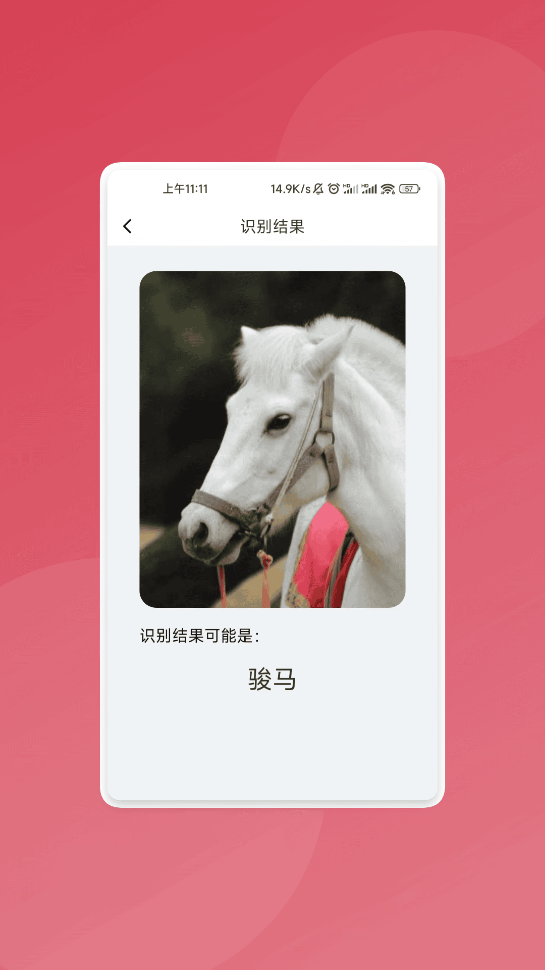 智识文件大师(3)