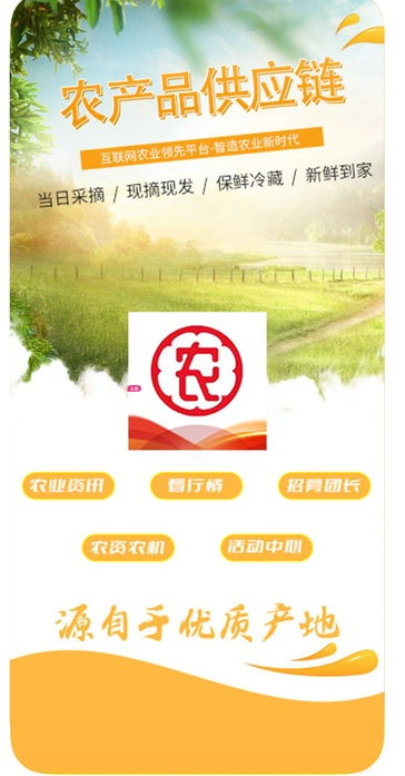 农产品供应链(4)