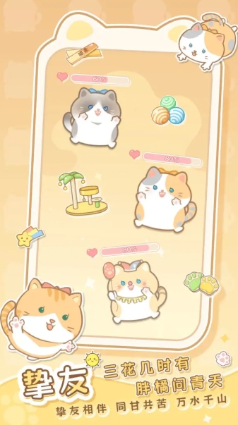 是猫就活100岁(2)