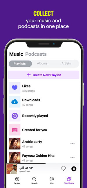 Anghami(1)