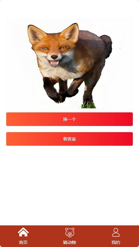 小熊智绘图(2)