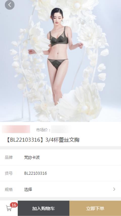 梵妳卡波ERP(1)