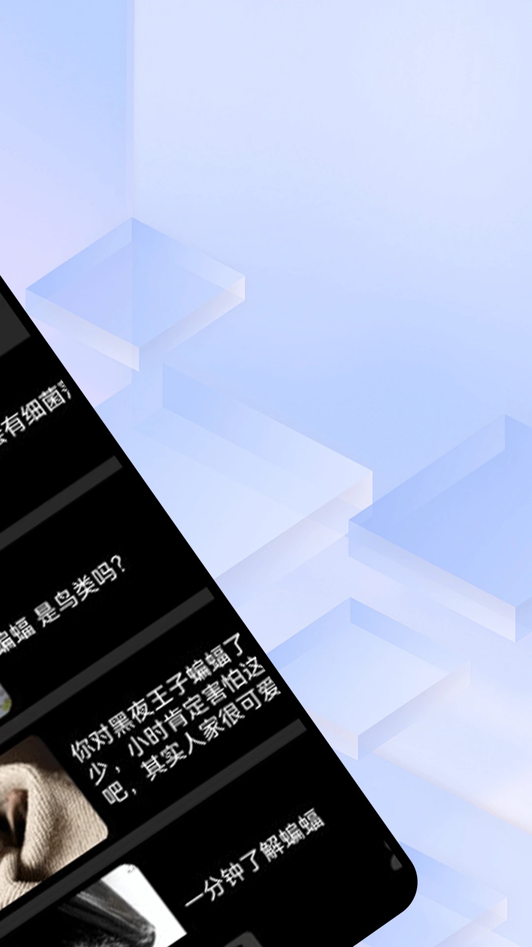 Batchat蝙蝠(1)