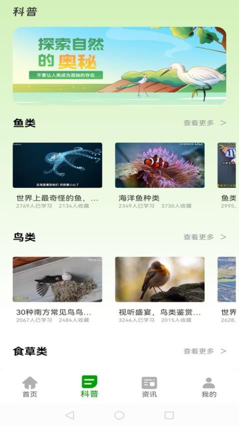 动物世界大全(1)