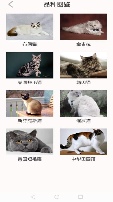 动物世界大全(3)