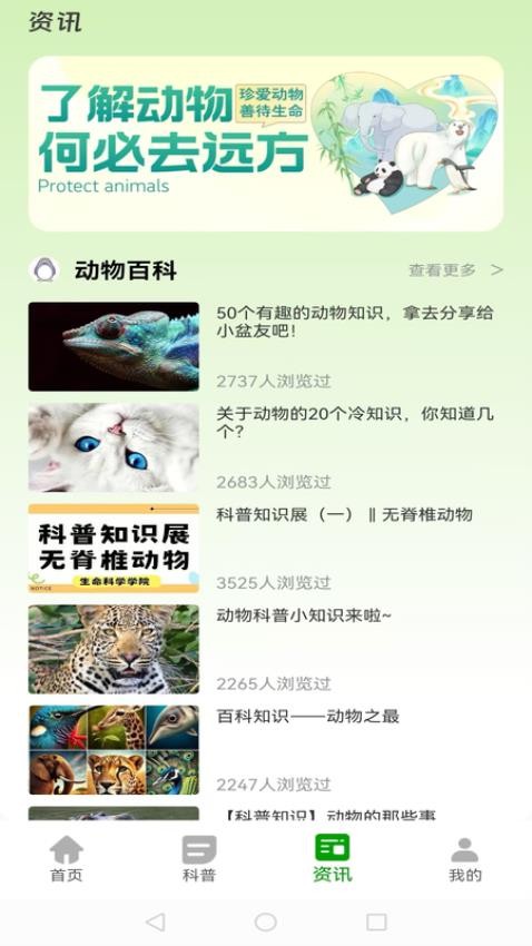 动物世界大全(4)