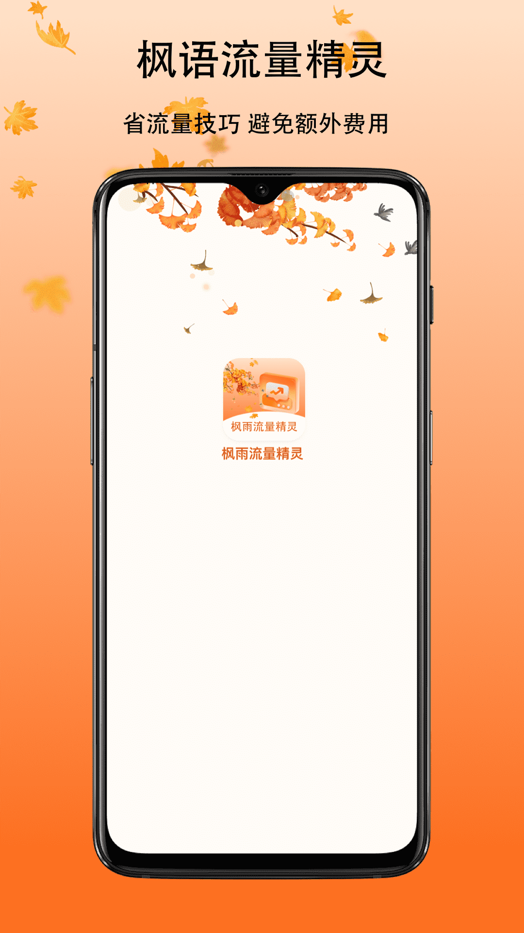 枫语流量精灵(3)