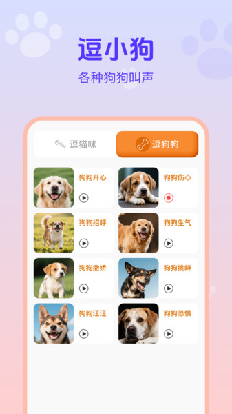 猫狗宠物交流助手(2)