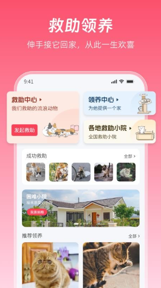 老疯杨(1)