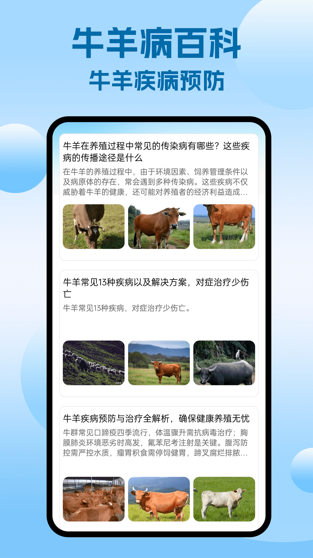 定一牛app