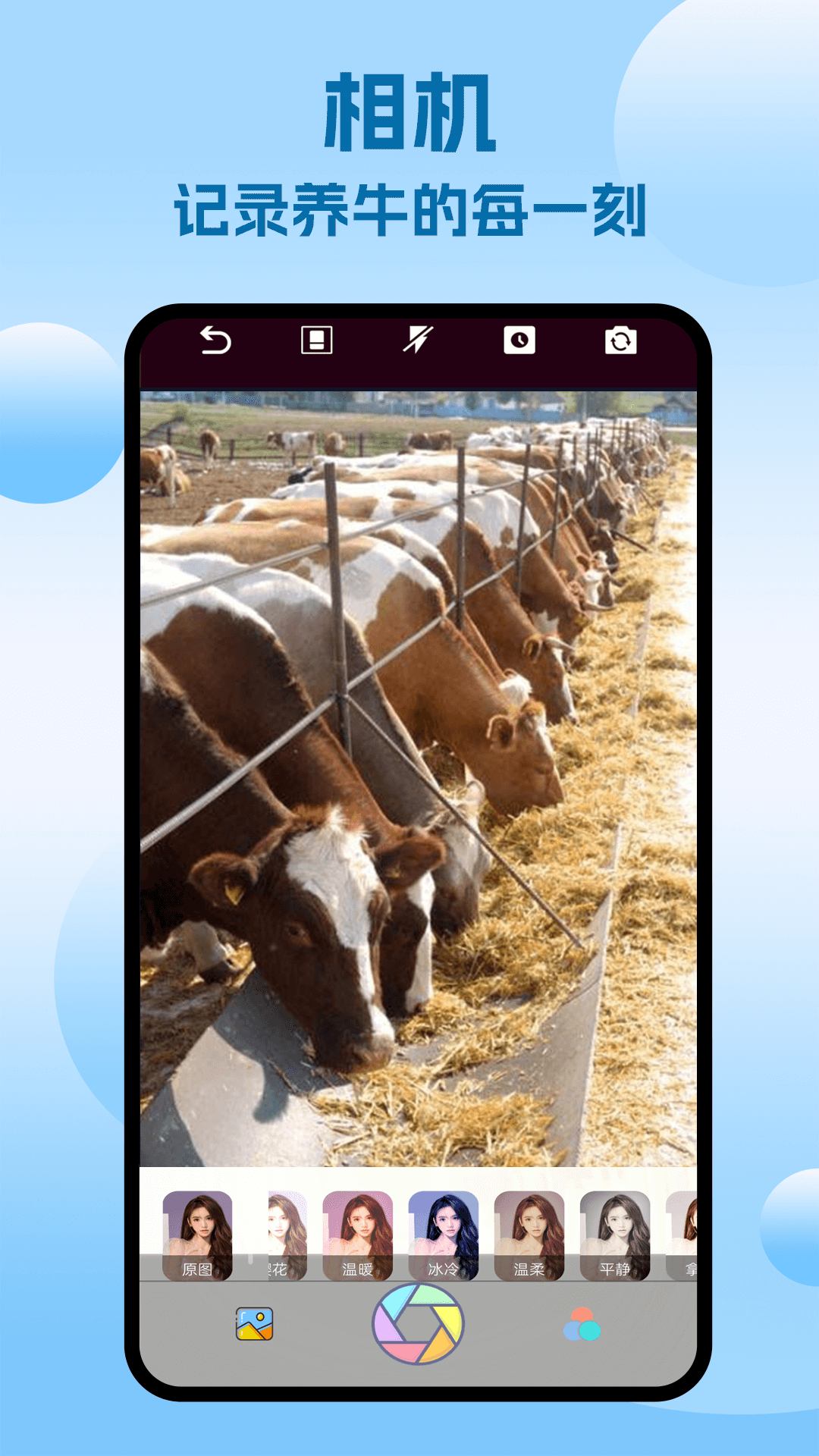 定一牛app