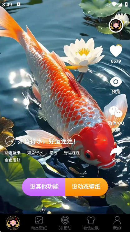荷花锦鲤壁纸app