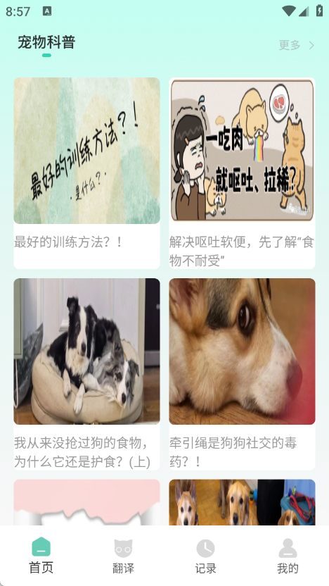 游猫猫app