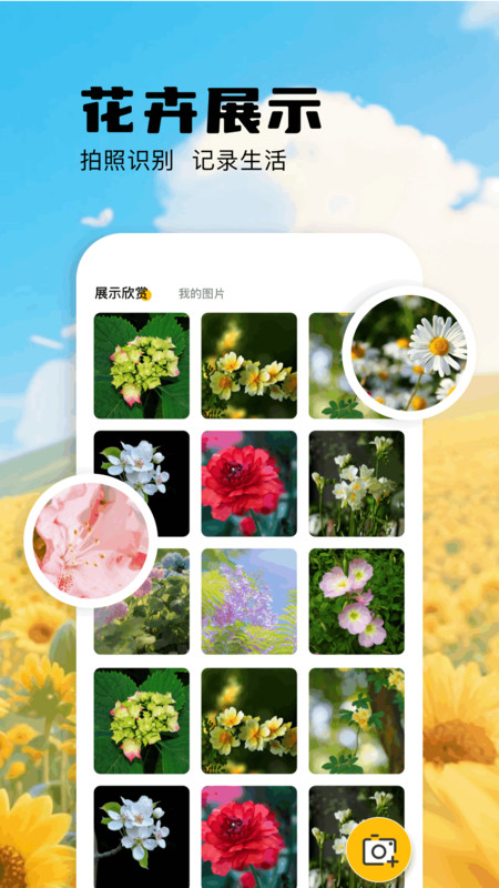 扫描识万物app