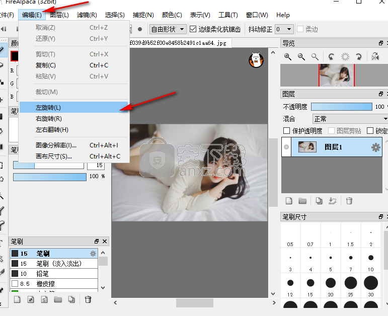 Firealpaca(电脑绘画软件)