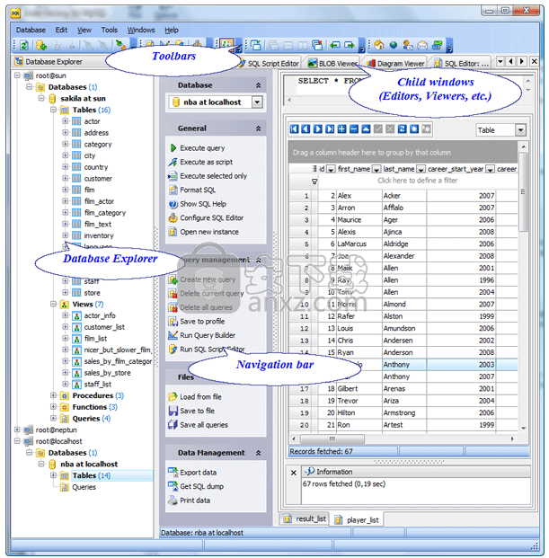 Firebird Code Factory(数据库管理工具)