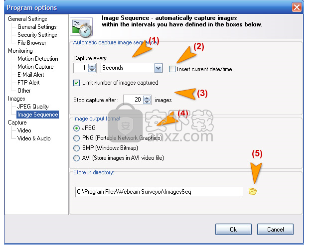 Webcam Surveyor(视频捕捉工具)