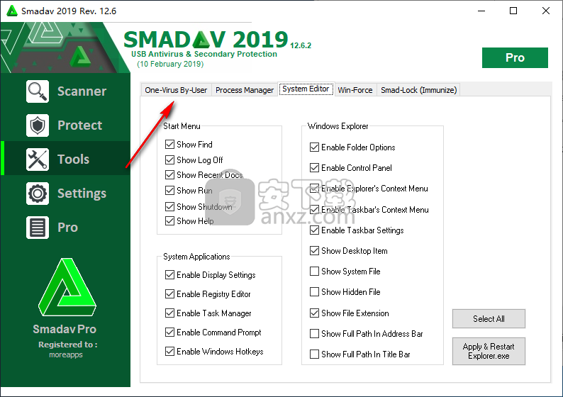 Smadav Antivirus (病毒防护软件)