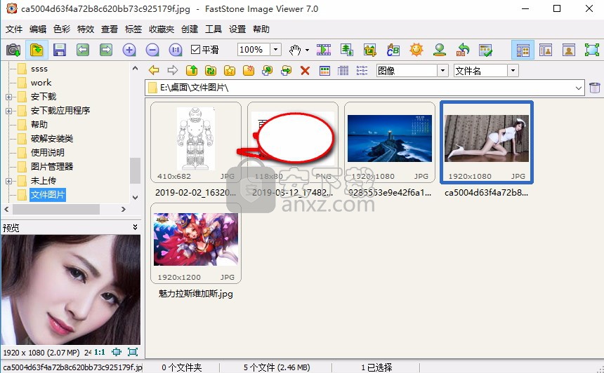 Faststone 7 Faststone Image Viewer 7中文版下载v7 5 绿色便携版 安下载