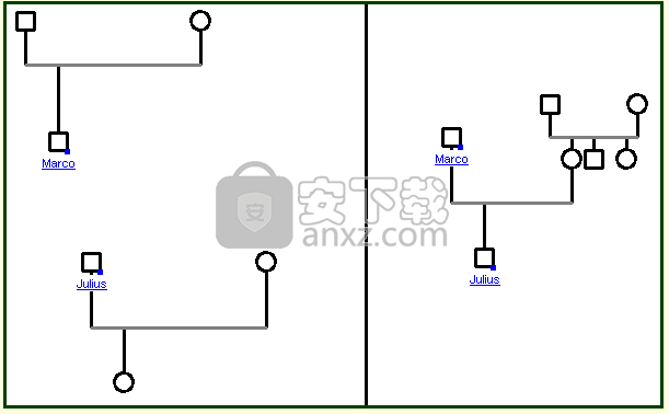 GenoPro 2019(家谱和基因图创建工具) 