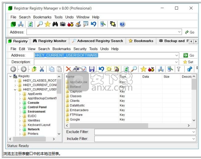 注册表编辑器(Registrar Registry Manager Pro)