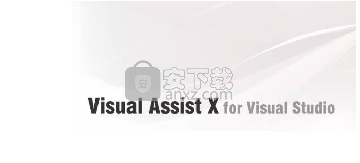 visual assist x 