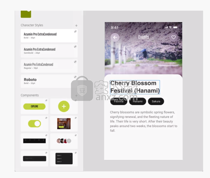 Adobe XD CC 2020