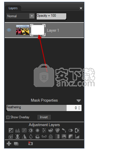 ACDSee Photo Editor(专业图片处理软件)