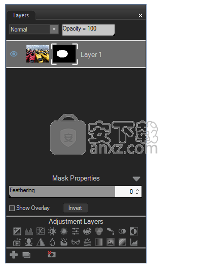 ACDSee Photo Editor(专业图片处理软件)