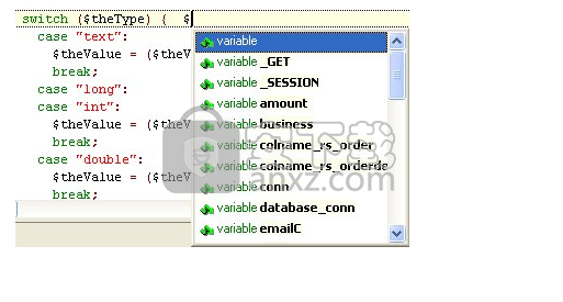 DSV PHP editor(PHP编辑器)