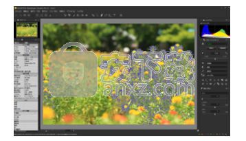 SILKYPIX Developer Studio Pro(RAW数码照片处理)