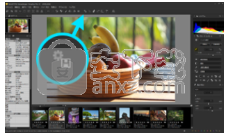 SILKYPIX Developer Studio Pro(RAW数码照片处理)