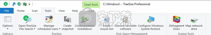 treesize professional(磁盘空间管理工具)